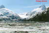 ALASKA2.JPG (32313 bytes)