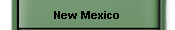 New Mexico
